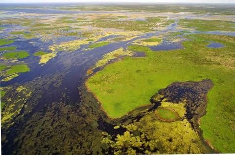 everglades aerial.jpg